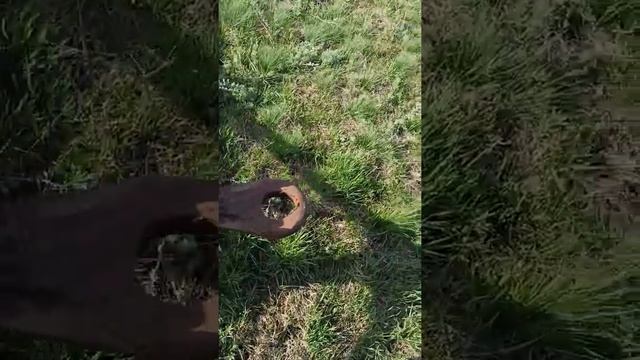 Видео для Авито. Техника поля. Сцепка СП-16 смотреть онлайн