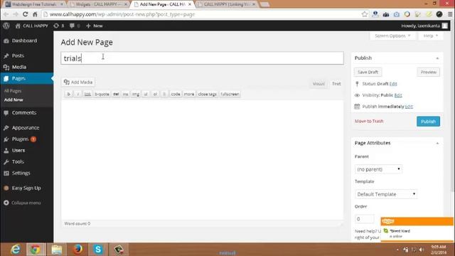 How To Work With Admin Panel Of Your Wordpress Website смотреть онлайн