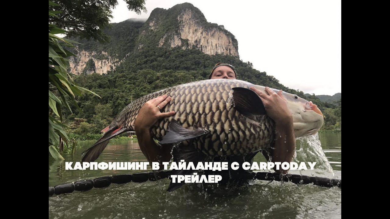Карпфишинг в Тайланде. Carptoday Team. Трейлер