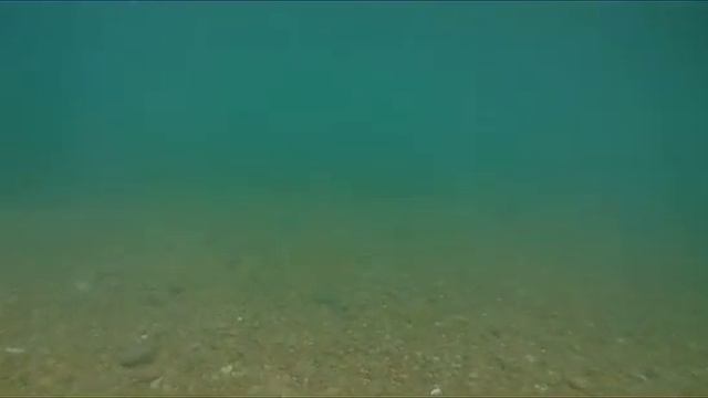 подводная съемка у берегов острова Путятин приморский край смотреть онлайн