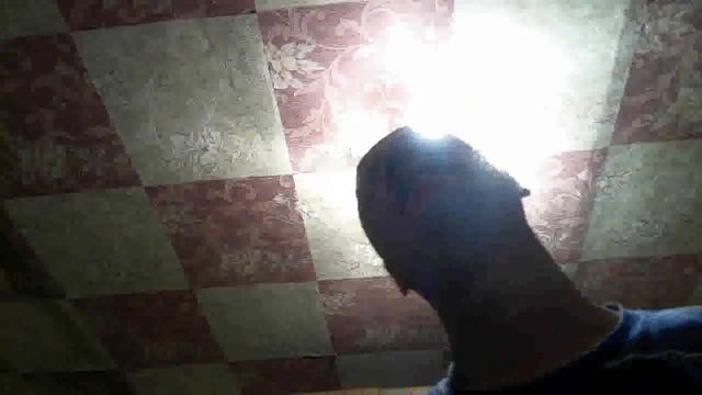 Рассказы о жизни выпуск номер 4 смотреть онлайн