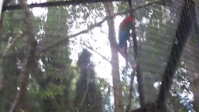 Ялта зопарк прикол смотреть онлайн