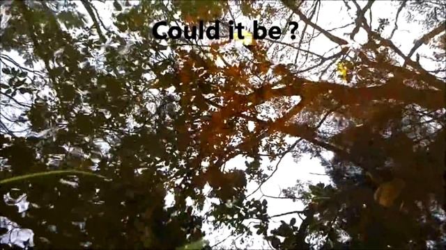 I found WW2 bombs ! Hidden for 70 years. смотреть онлайн