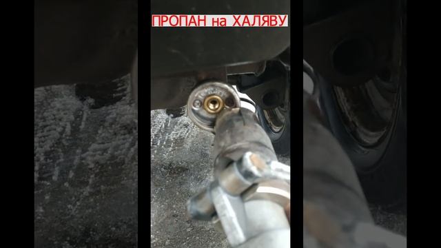 лайфхак из Казахстана ? смотреть онлайн