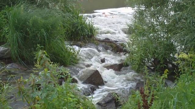 Купала в Купелии фестиваль съемка Семёна Транковского смотреть онлайн