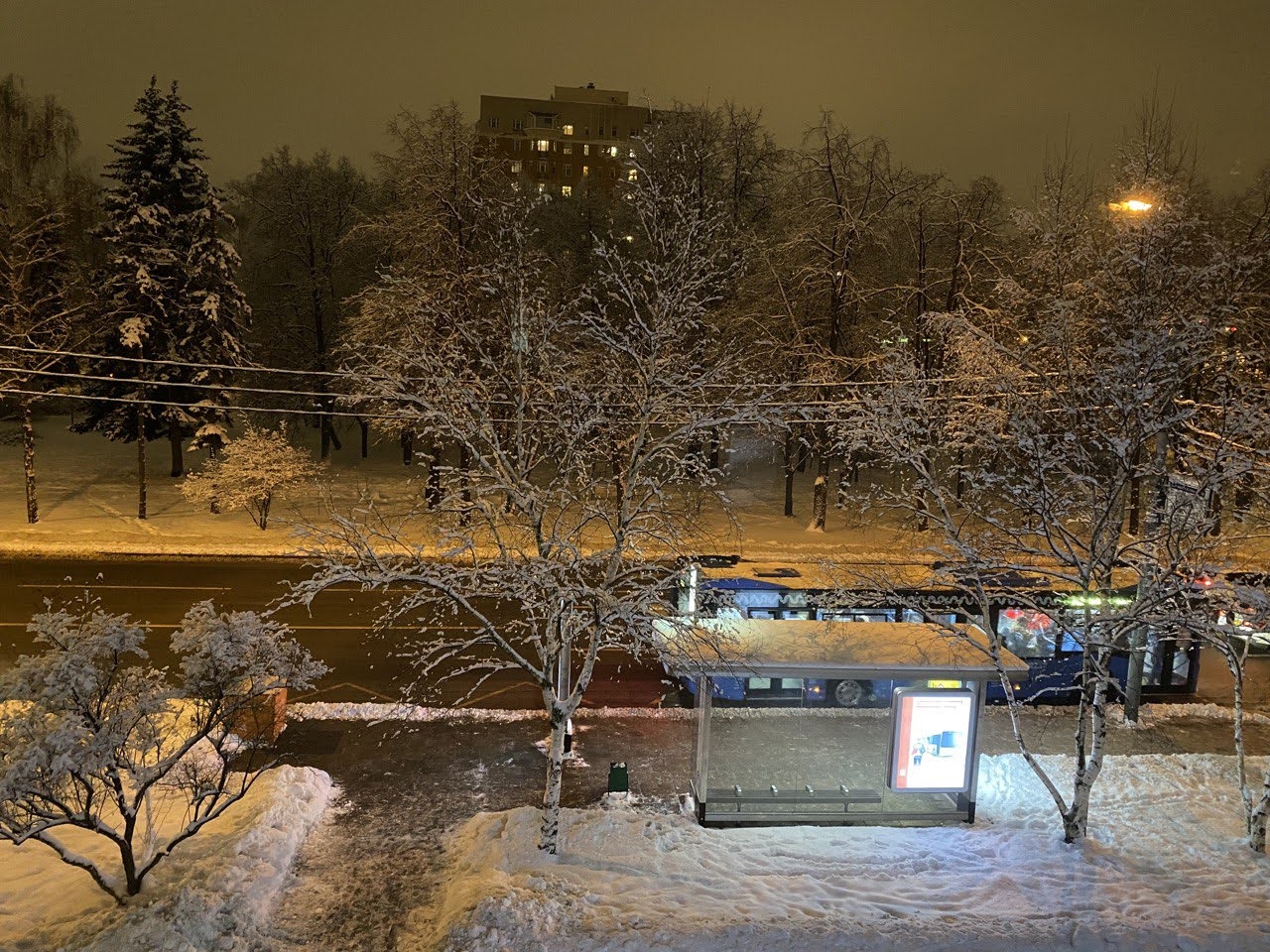 Дмитрий TV. Клип "Снежная ночь". смотреть онлайн
