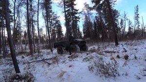 ЖИЗНЬ В СИБИРИ. Заготовка дров в деревне. Деревенские будни.