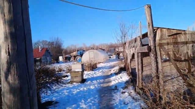 ЗАБОЙ БЫКА-ДЕРЕВЕНСКИЕ БУДНИ смотреть онлайн