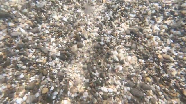 GoPro 10, Дно моря у берега 02/07/2022 X, смотреть в 4к смотреть онлайн