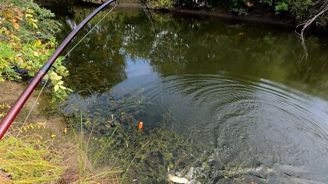 бросок ЩУКИ смотреть онлайн