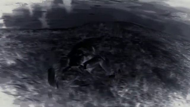Red Dead Redemption 2 - Alligator Attack смотреть онлайн