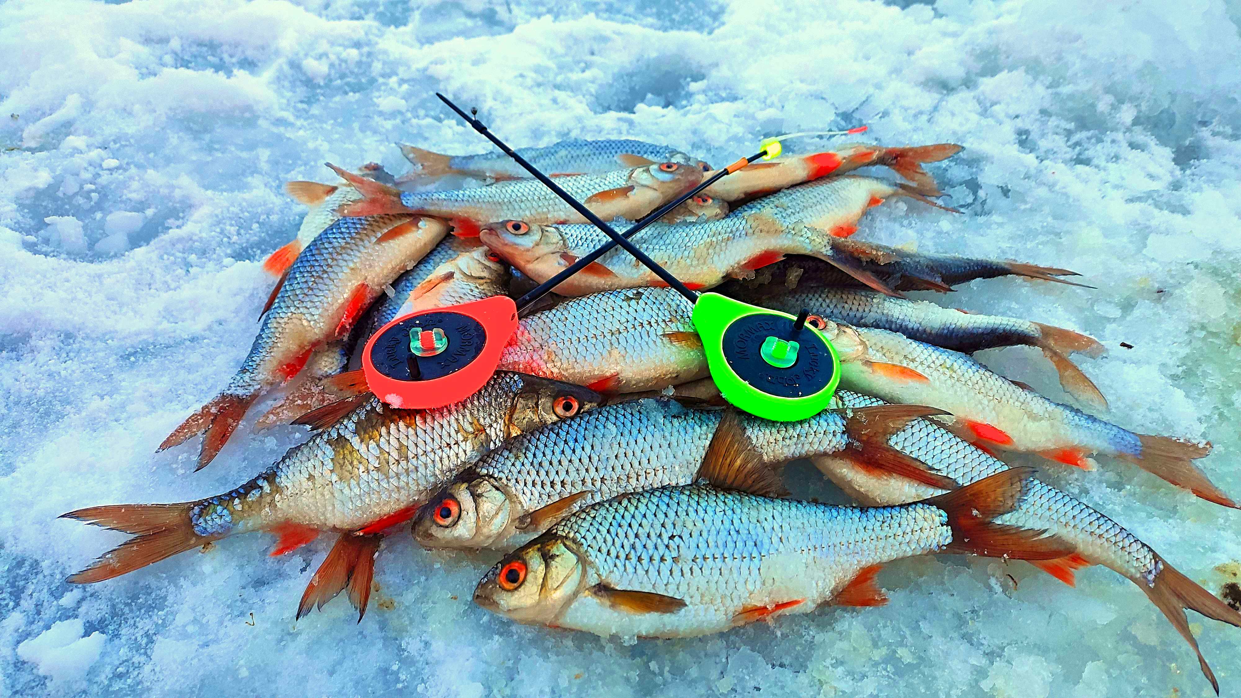 НАЛОВИЛ ПЛОТВЫ. МНОГО ПОКЛЁВОК. Рыбалка на ОЗЕРНЕ. Безмотылка и тульская мормышка. смотреть онлайн