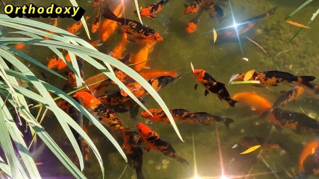 бабушка и внучка