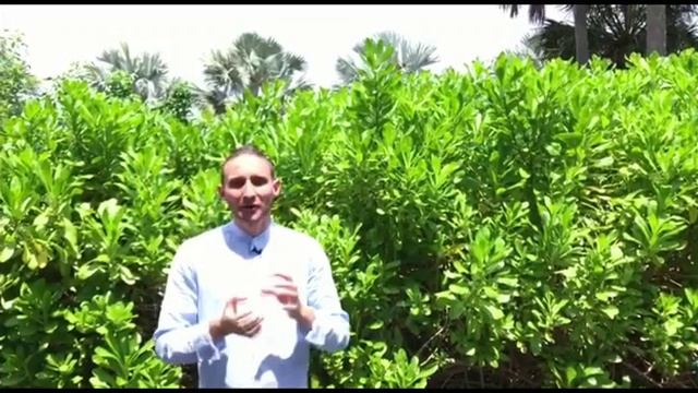 Сварга Презентация смотреть онлайн