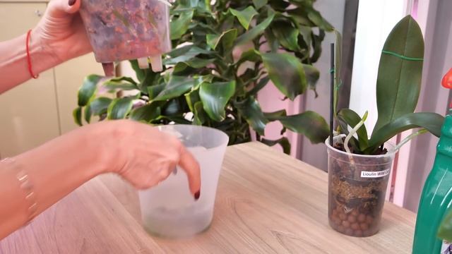 Ошибочные посадки и их ПОСЛЕДСТВИЯ НО теперь ВСЁ ПО-ДРУГОМУ. смотреть онлайн