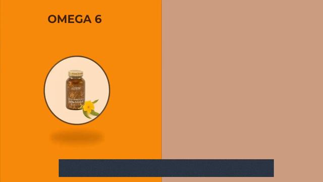 Formación especial : Menopausia y Andropausia смотреть онлайн