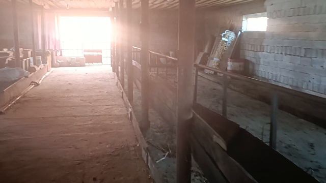 Откорм база бычков, с отличным домом на продажу. 87058852222 Алматы смотреть онлайн