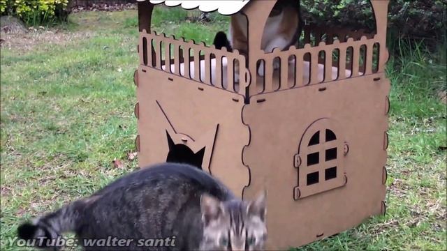 Princess Cat Defending Her Fortress! смотреть онлайн