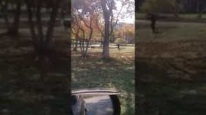 Приморский край, ПГТ Врангель, ул. Первостроителей