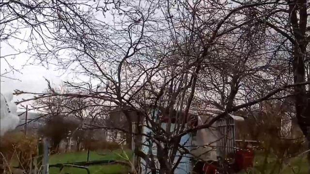 Купили заброшенную дачу.В завалах нашли то,что многих рыбаков перенесет в детство! смотреть онлайн