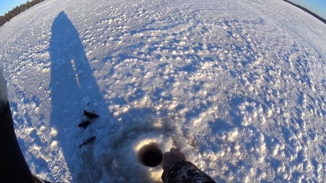 Изба третья, ловим окуней смотреть онлайн