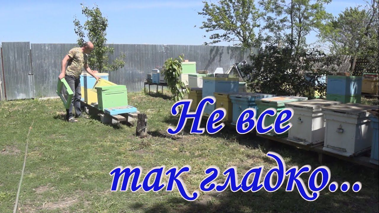 Не все так гладко... смотреть онлайн