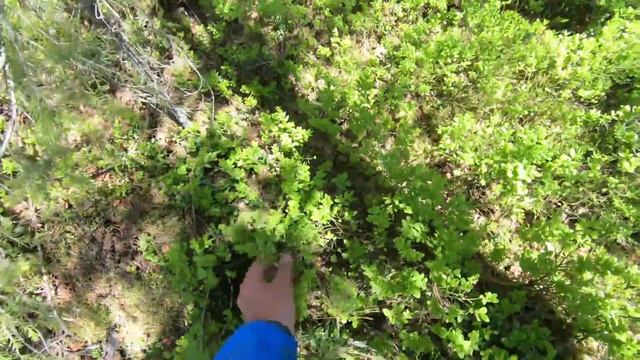 8-13. 06.2018 Сплав: Нырда, Ничка, Кизир смотреть онлайн