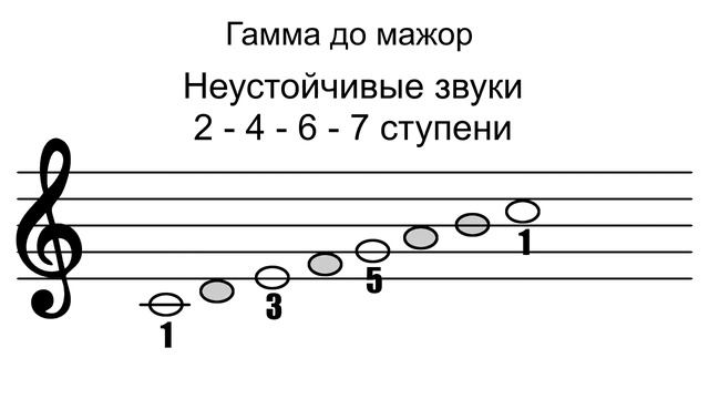 Гамма до мажор - Сольфеджио смотреть онлайн