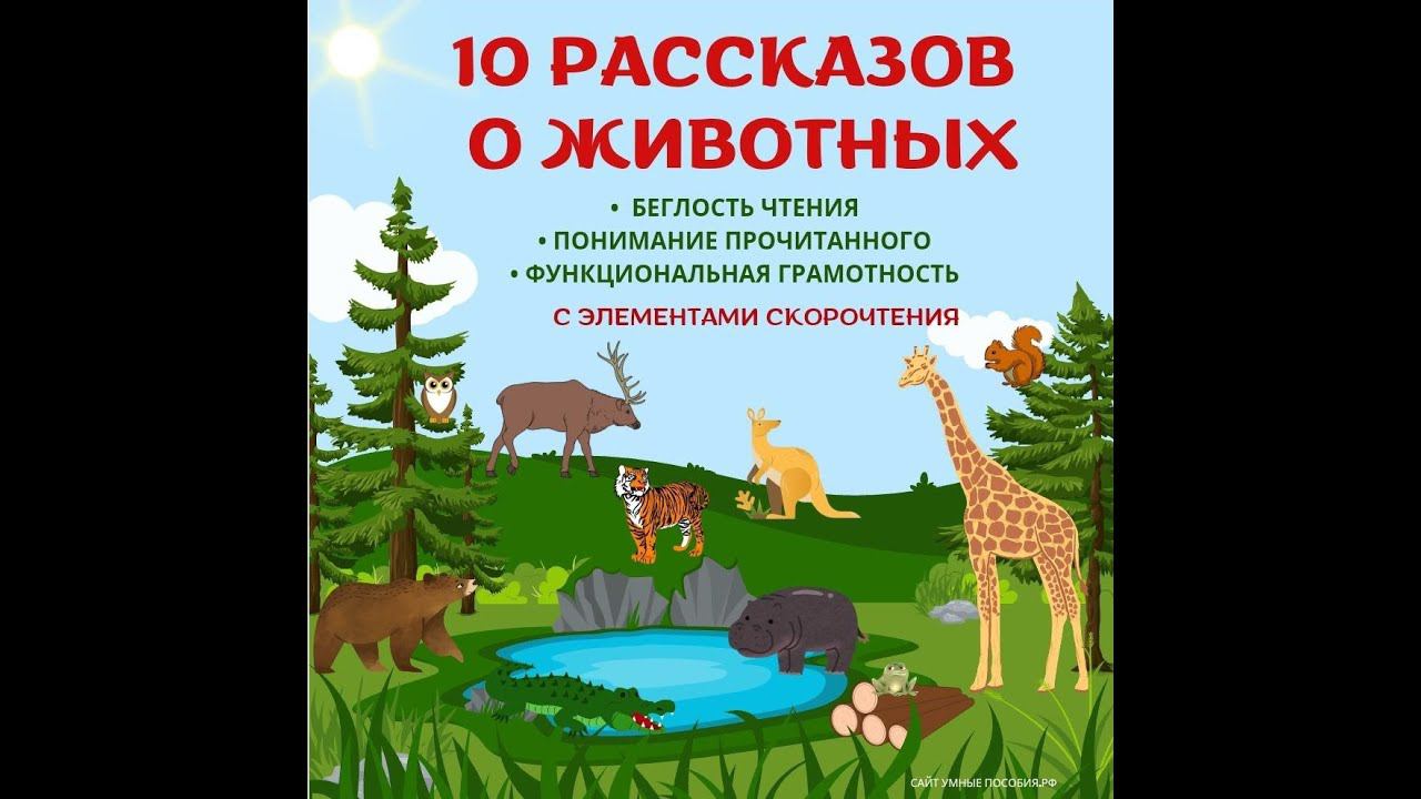 10 рассказов о животных в технике скорочтения. Рекомендовано детям 7-11 лет. смотреть онлайн