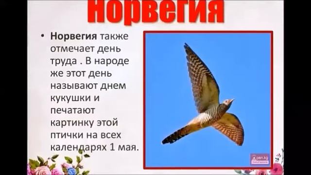 Классный час " История праздника 1 МАЯ" смотреть онлайн