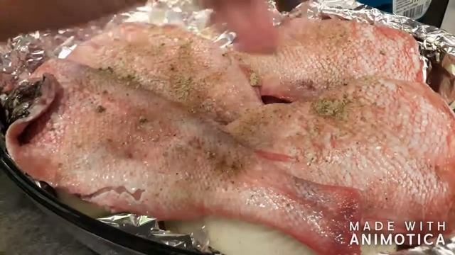 Фотография Природы и Ландшафтов