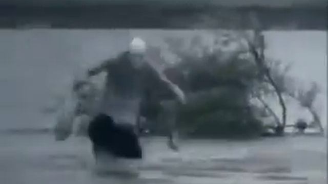 Смотреть всем трям трям тыряеться смотреть онлайн