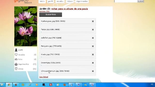 (Vídeo de 9 anos atrás) Criando uma rede social com PHP - Notificações смотреть онлайн