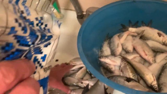 24 февраля 2024 г. СОЛИМ РЫБУ ВЕСЕЛО!!! смотреть онлайн