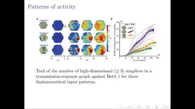 Ran Levi: Topological analysis of neural networks смотреть онлайн