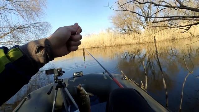 Красноперка на поплавок I рыбалка у поваленного дерева смотреть онлайн