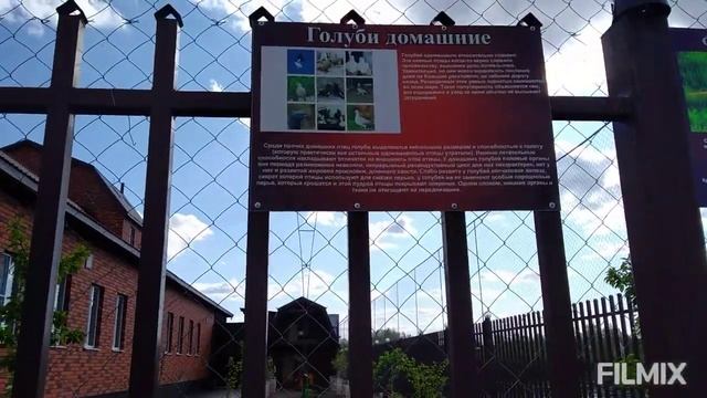 41) Простой.С коллегой по городу. смотреть онлайн