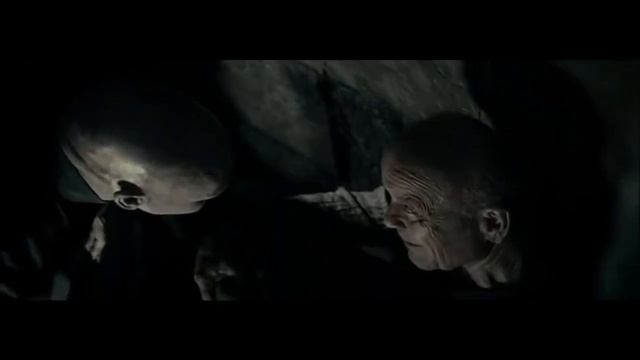 Harry Potter and the Deathly Hallows - Lord Voldemort Killed Gellert Grindelwald смотреть онлайн