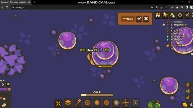 Taming.io