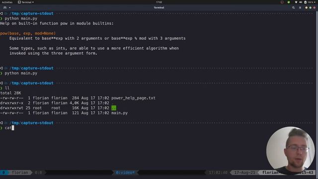 How to Capture What Is Written to stdout in Python смотреть онлайн