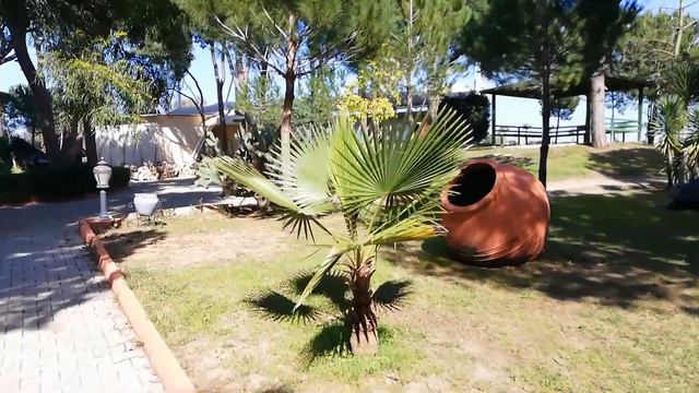 ZOO BELLIS DELUXE Hotel, Belek Antalya, Turkey смотреть онлайн