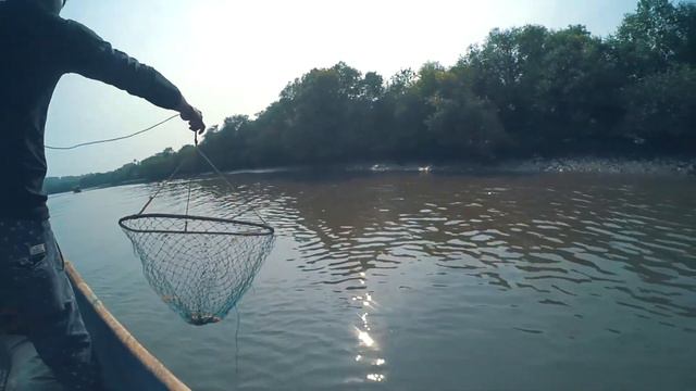 ГОА с друзьями