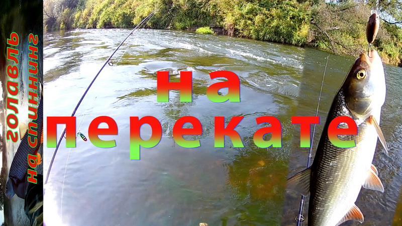 Осенняя рыбалка на перекате. Спиннинг на малой реке. смотреть онлайн
