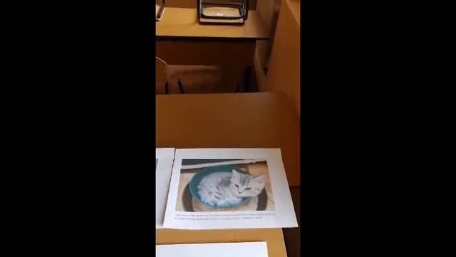 08.08.20 Дистанционный лагерь "Улыбка" смотреть онлайн