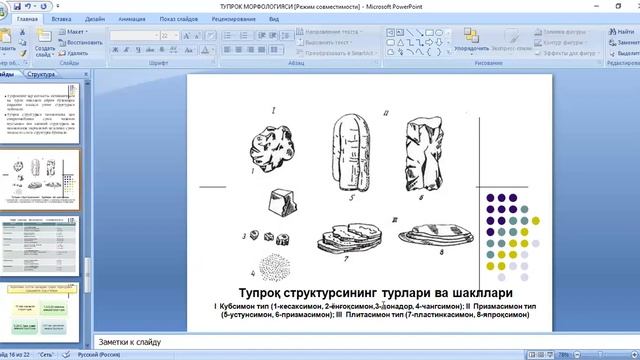 salimova H Тупрок морфологияси смотреть онлайн