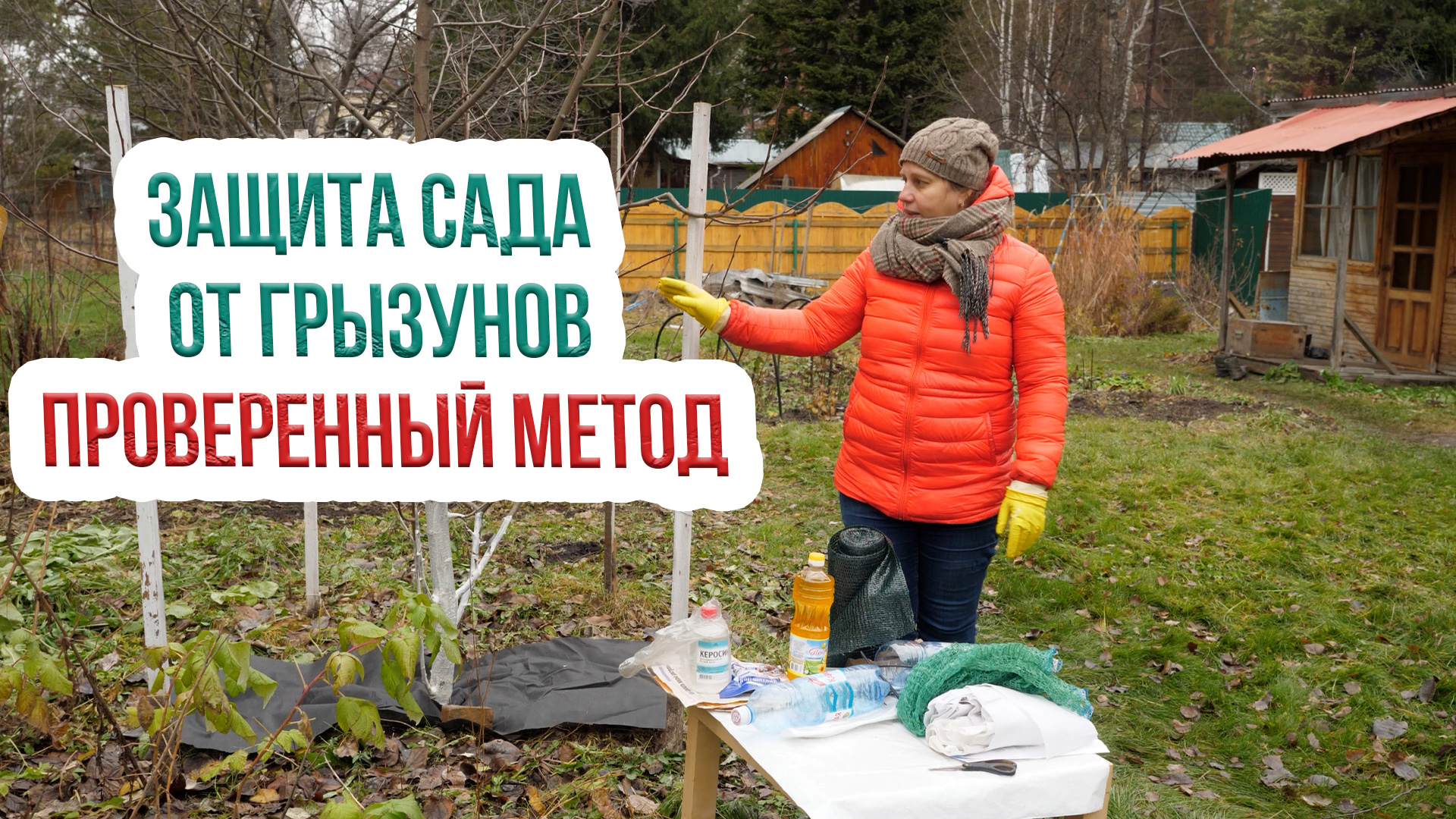 Защита плодовых деревьев от грызунов. Как защитить сад от грызунов? смотреть онлайн