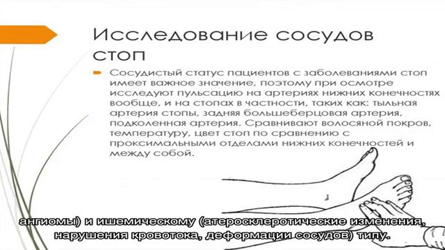 Ангиография - цены в Москве смотреть онлайн