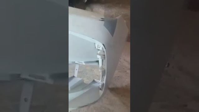 Минивэн животные