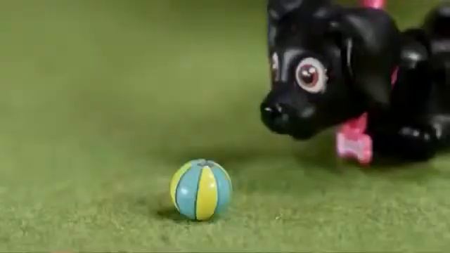 Pet Club Parade - Игровой набор "Выставка животных" смотреть онлайн