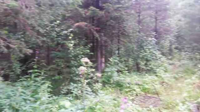Урал, природа и просторы Пермского края /Russia, Ural, nature and open spaces of the Perm region/ смотреть онлайн